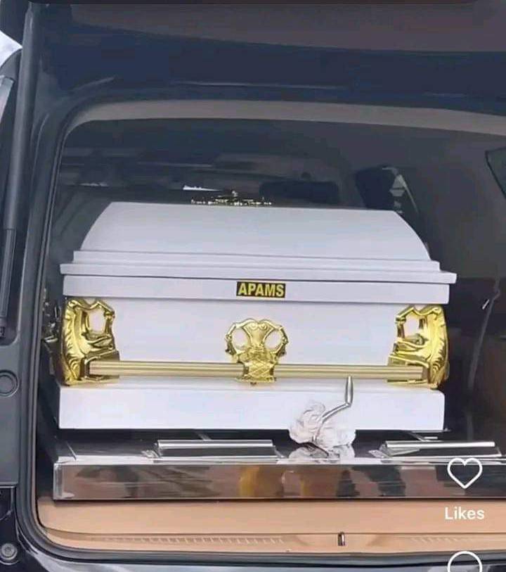 Mr. Ibu3
