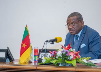 PM Chief Dion Ngute represents the Cameroon government in the evaluation meeting
